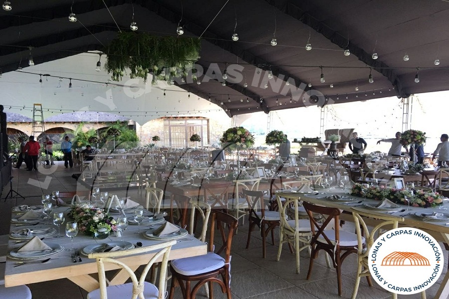 Venta de Carpas Negras en Cuernavaca🏆